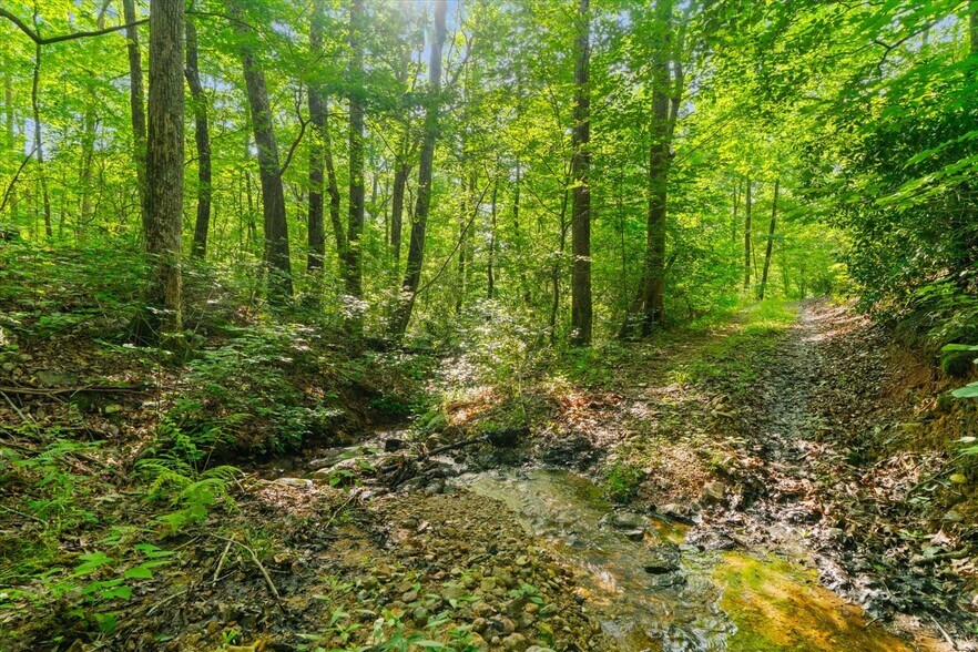 More Photos Of 2948 Holly Creek Cool Sprgs Rd, Chatsworth Specialty For Sale