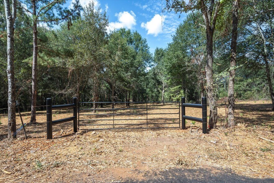 More Photos Of Tract 1 County Road 484, Mineola Land For Sale