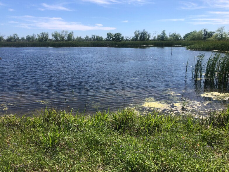 More Photos Of TBD County Road 210, Danbury Land For Sale