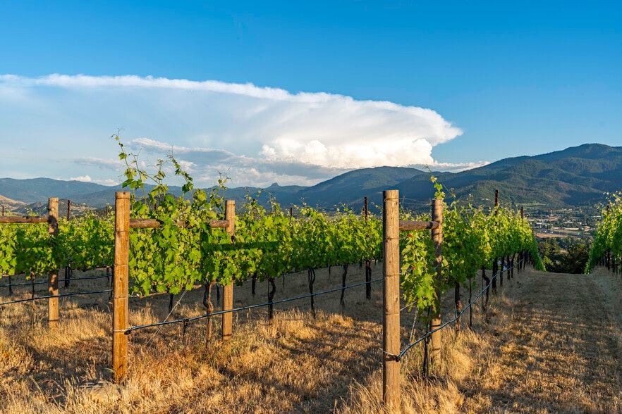 More Photos Of 786 Pompadour Dr, Ashland Land For Sale