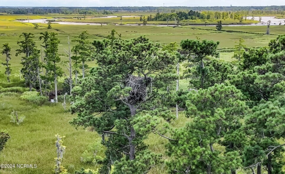 More Photos Of 1801 US Highway 421 N, Wilmington Land For Sale