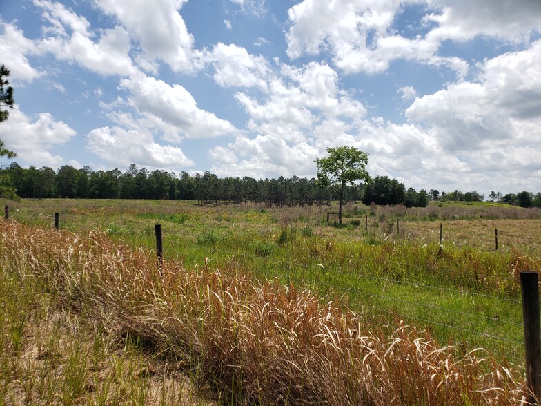 Primary Photo Of 31300 Blanton Rd, Dade City Land For Sale