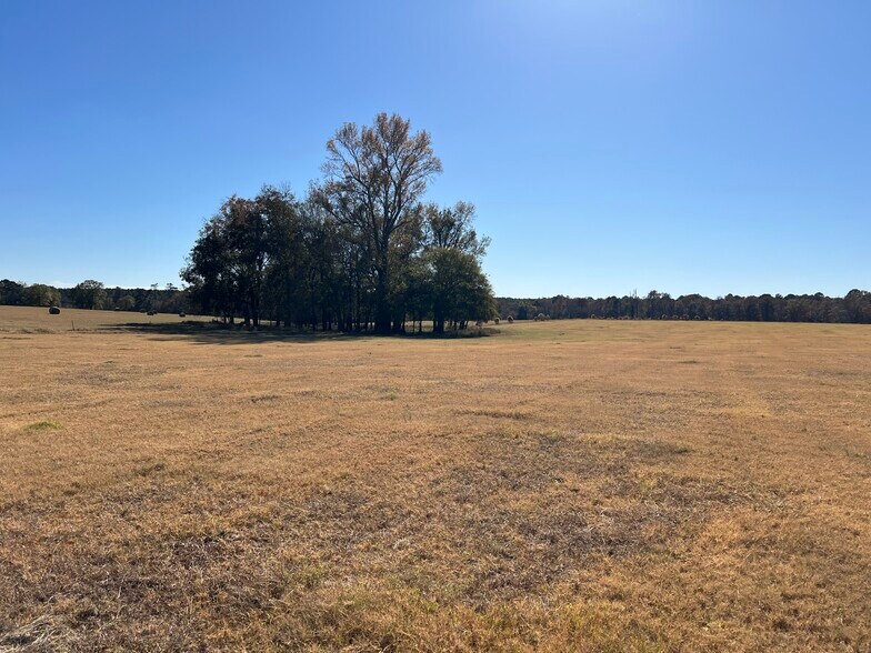 More Photos Of 269 Pea Ridge Rd, Montrose Land For Sale