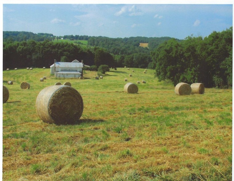 More Photos Of 5690 Rocky Mount Church Rd, Polkton Land For Sale