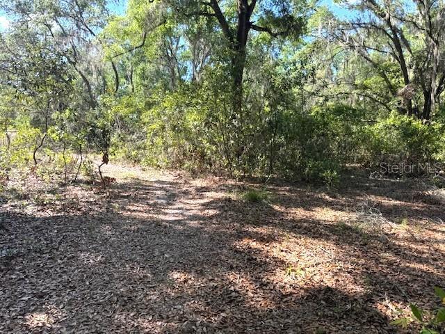 More Photos Of 4140 Kenvera loop, Inverness Land For Sale