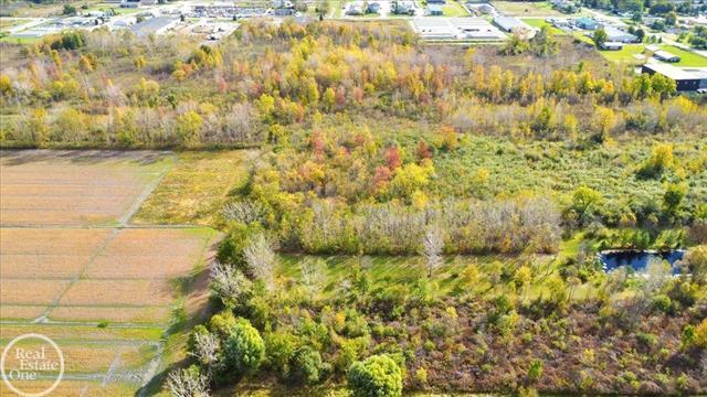 More Photos Of 6210 King Rd, Marine City Land For Sale