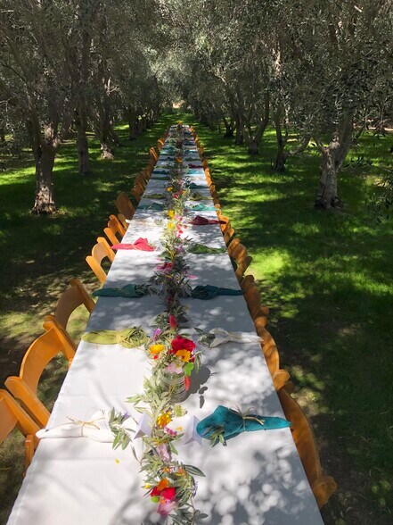 More Photos Of 46780 CA-371, Aguanga Winery Vineyard For Sale