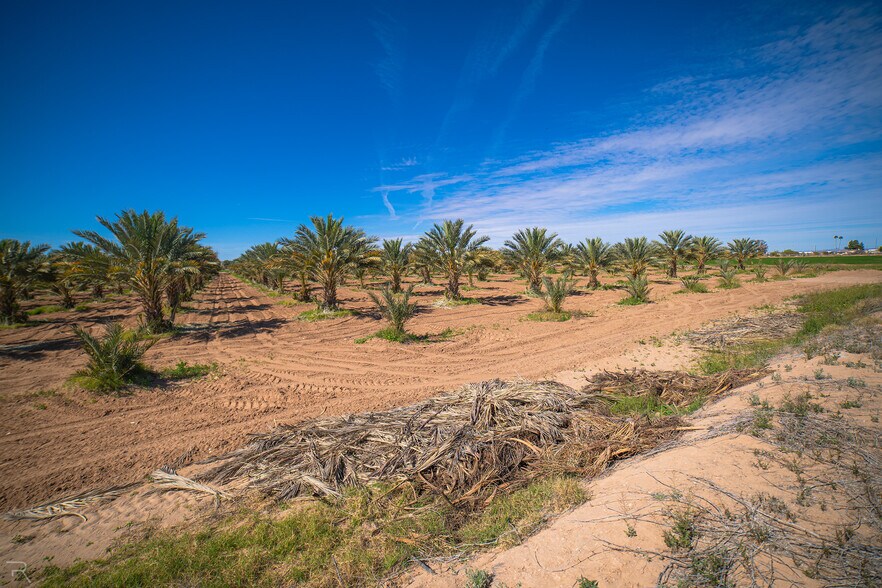 More Photos Of 17587 S Ave 3 1/2 E, Yuma Land For Sale