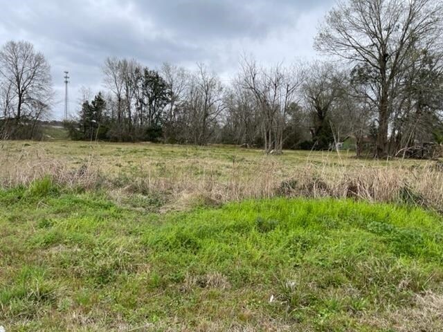 More Photos Of 5.432 AC IH 10, Orange Land For Sale