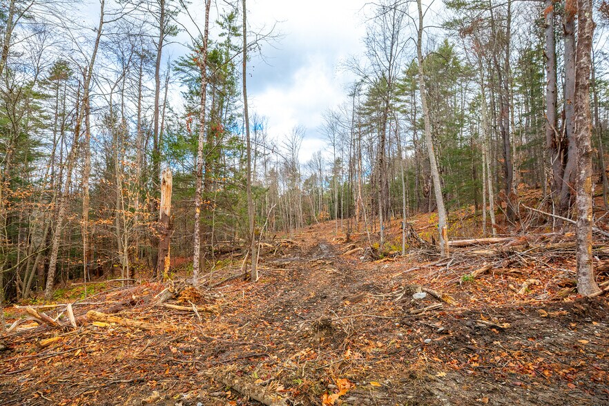 More Photos Of 40 E Putney Brook Rd, Putney Land For Sale