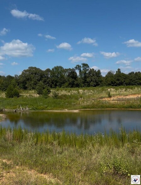 Primary Photo Of 243 County Road 2513, Naples Land For Sale