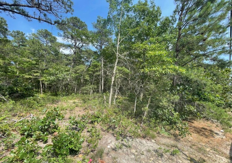More Photos Of 1463 Route 539, Tuckerton Land For Sale