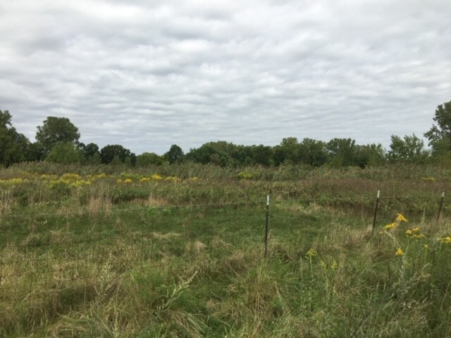 More Photos Of Oakville Waltz Rd, Ash Twp Land For Sale