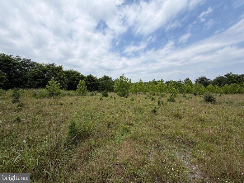 More Photos Of 212 Id Van Metre Rd, Kearneysville Land For Sale