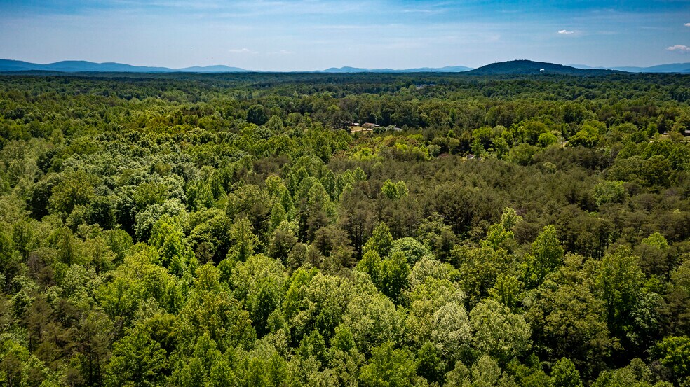 More Photos Of 1245 Carpenters Mill Rd, Ruckersville Land For Sale
