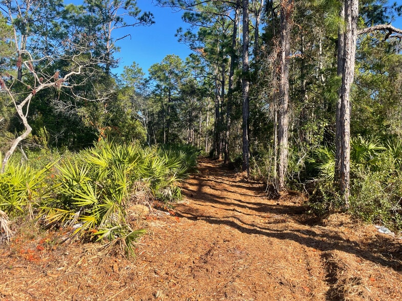 More Photos Of 9115 S Suncoast Blvd, Homosassa Land For Sale