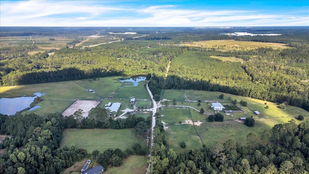 More Photos Of 1075 Osteen Rd, Bloomingdale Land For Sale