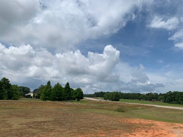 More Photos Of 15414 Old Highway 5 S, Grove Hill Land For Sale