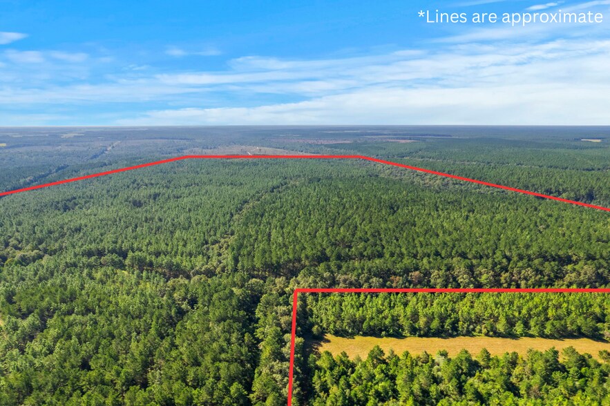 More Photos Of 0 Nokomis Road, Walnut Hill Land For Sale