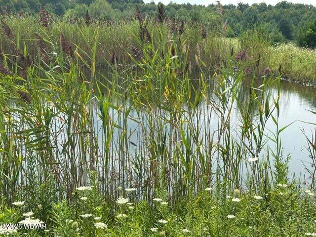 More Photos Of Beech Creek Mountain Rd, Beech Creek Land For Sale