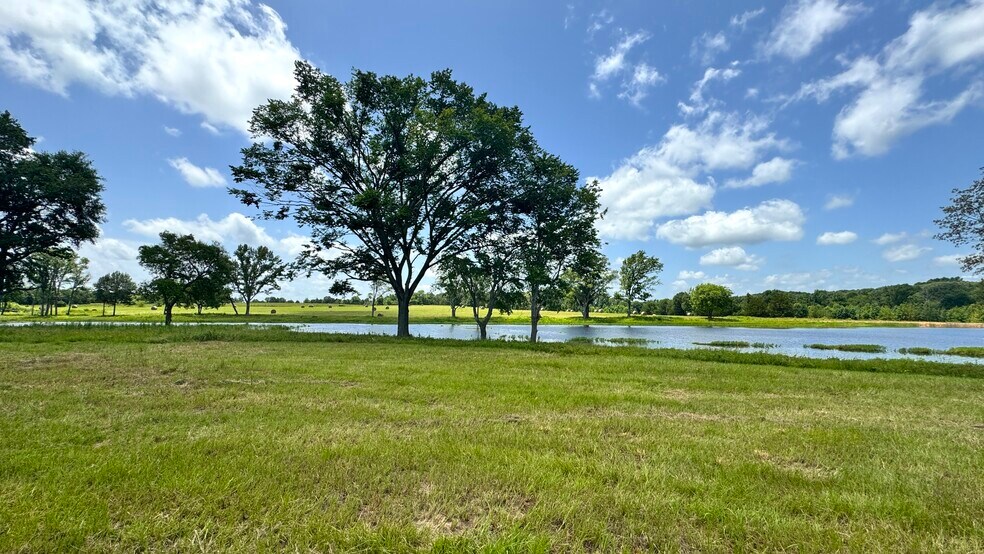 More Photos Of 13530 FM 773, Ben Wheeler Land For Sale