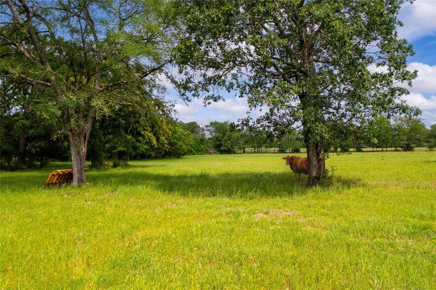 More Photos Of 128 Duke Rd, Bedias Land For Sale