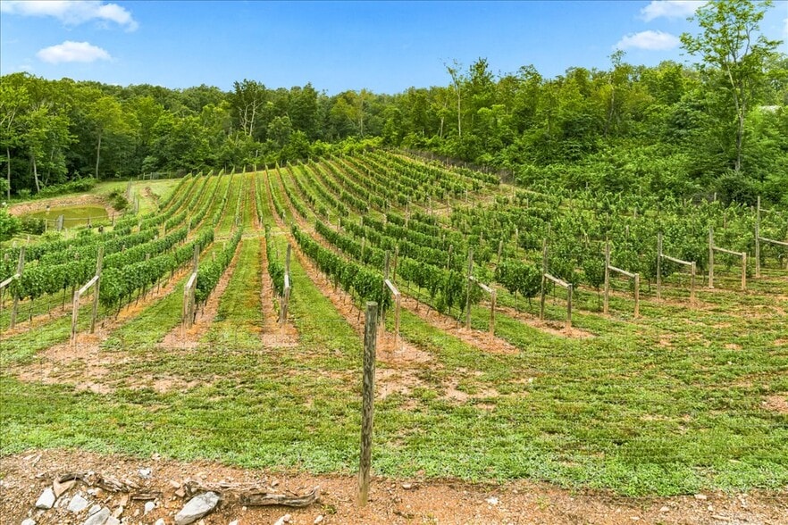 More Photos Of 1309 Redland Rd, Cross Junction Winery Vineyard For Sale