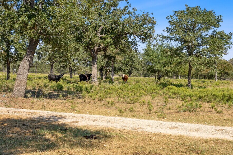 More Photos Of 5501 Old Colony Line Rd, Lockhart Land For Sale
