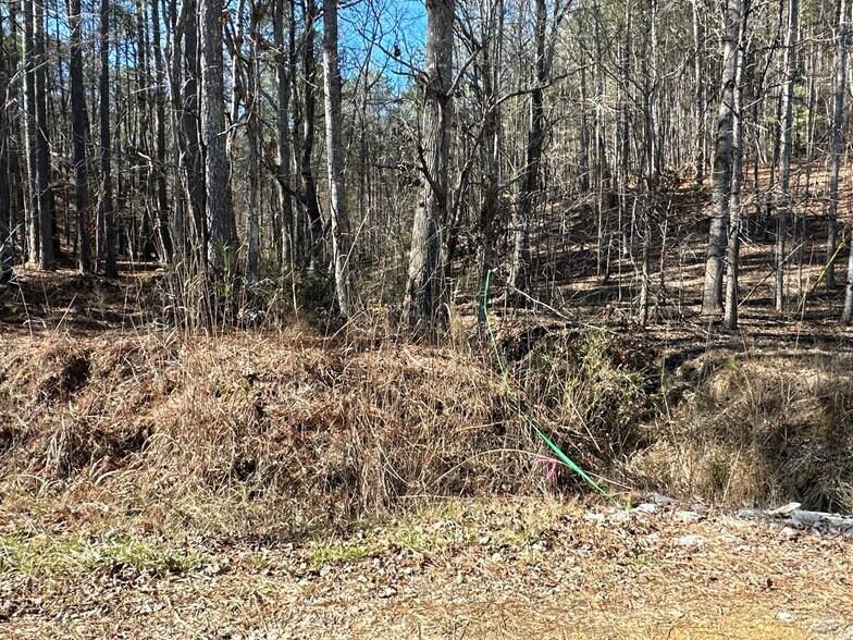 More Photos Of 3472 Prior Station Rd, Cedartown Land For Sale