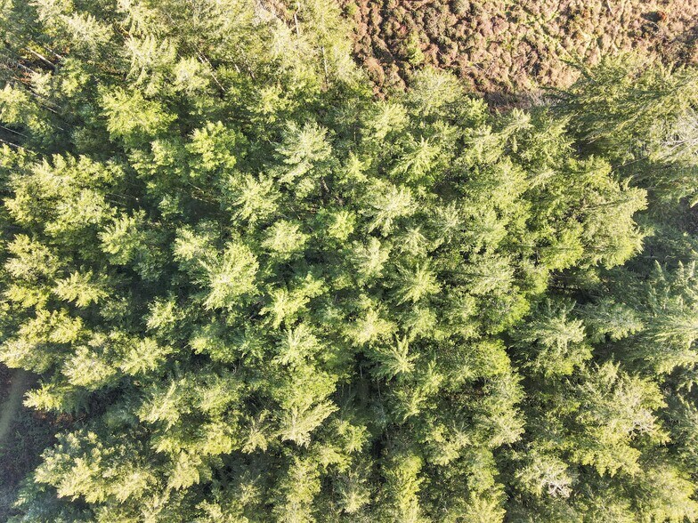 More Photos Of XXX Gravelly Beach Loop, Olympia Land For Sale