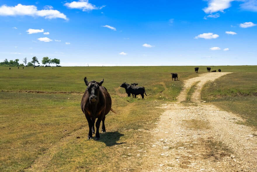 More Photos Of 0 Solana Ranch Rd, Salado Land For Sale