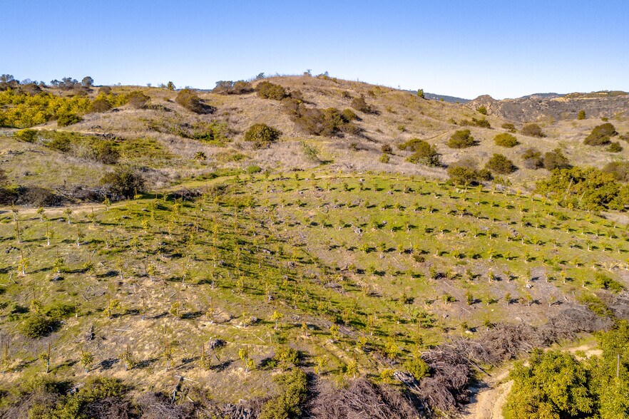 More Photos Of 40390 Ross Rd, Fallbrook Land For Sale