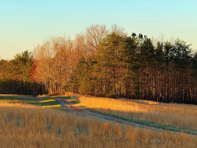 More Photos Of 142 Mace Rd, Casar Land For Sale