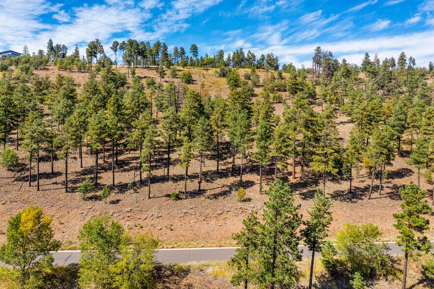 More Photos Of 1300 W Lower Coconino Ave, Flagstaff Land For Sale