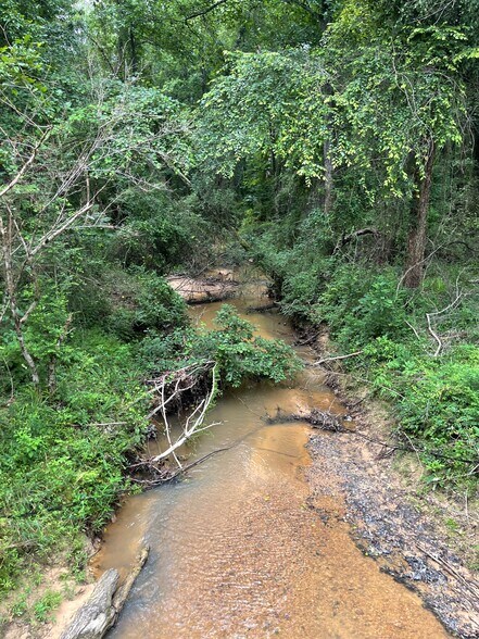 More Photos Of 17796 Dry Branch loop, Northport Land For Sale