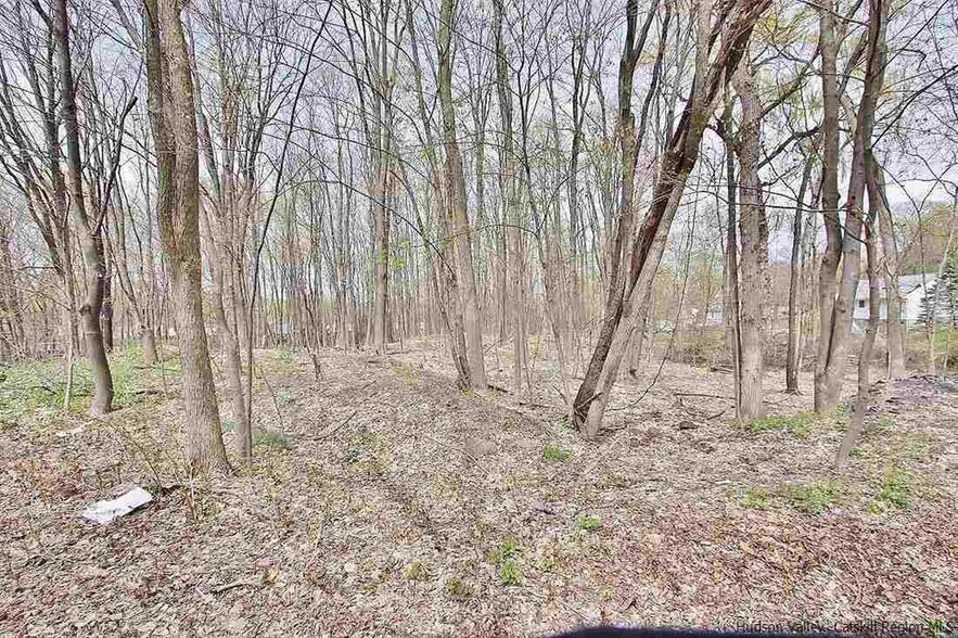 More Photos Of 235 Main St, New Paltz Apartments For Sale