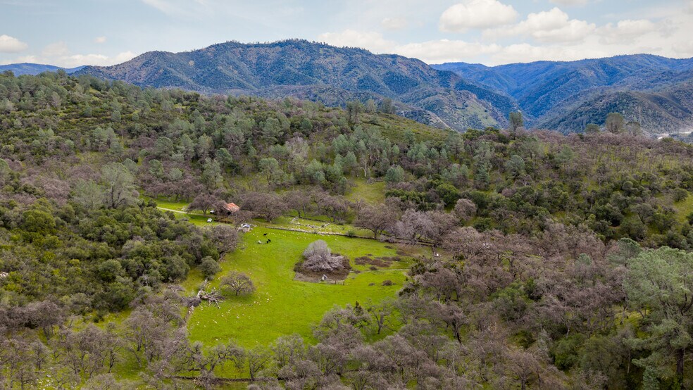 More Photos Of Skunk Gulch Rd, Vallecito Land For Sale