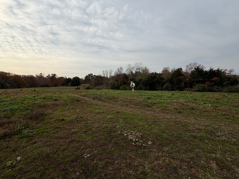 More Photos Of 23765 Charleston Rd, Leon Land For Sale