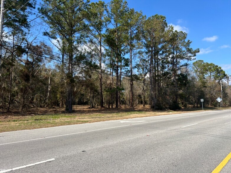 More Photos Of 3855 Darien Hwy, Brunswick Land For Sale