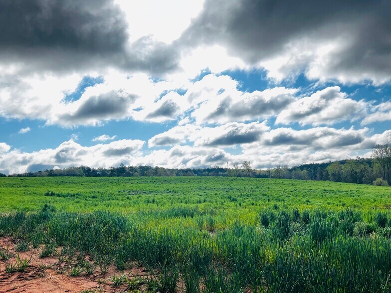 More Photos Of Anson High School, Wadesboro Land For Sale