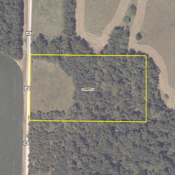 More Photos Of County Road 197 (5+/- Acres) Tract 3, Williamsburg Land For Sale