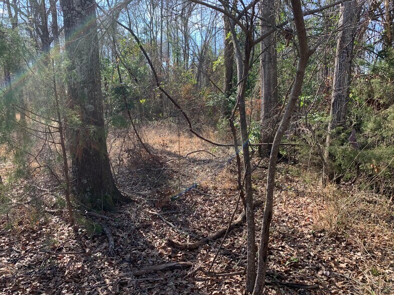 More Photos Of Interstate 20, Lindale Land For Sale