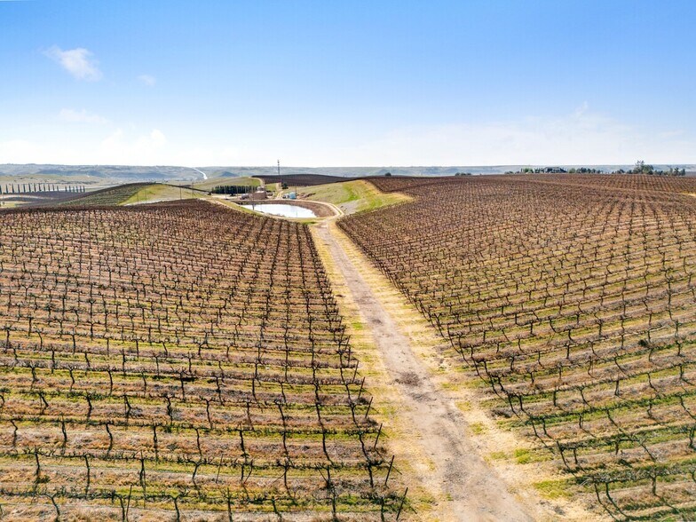 More Photos Of 16073 Highway 65, Bakersfield Winery Vineyard For Sale