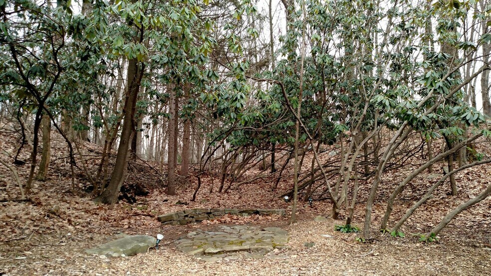 Primary Photo Of 540 NY-22, Brewster Village Land For Sale