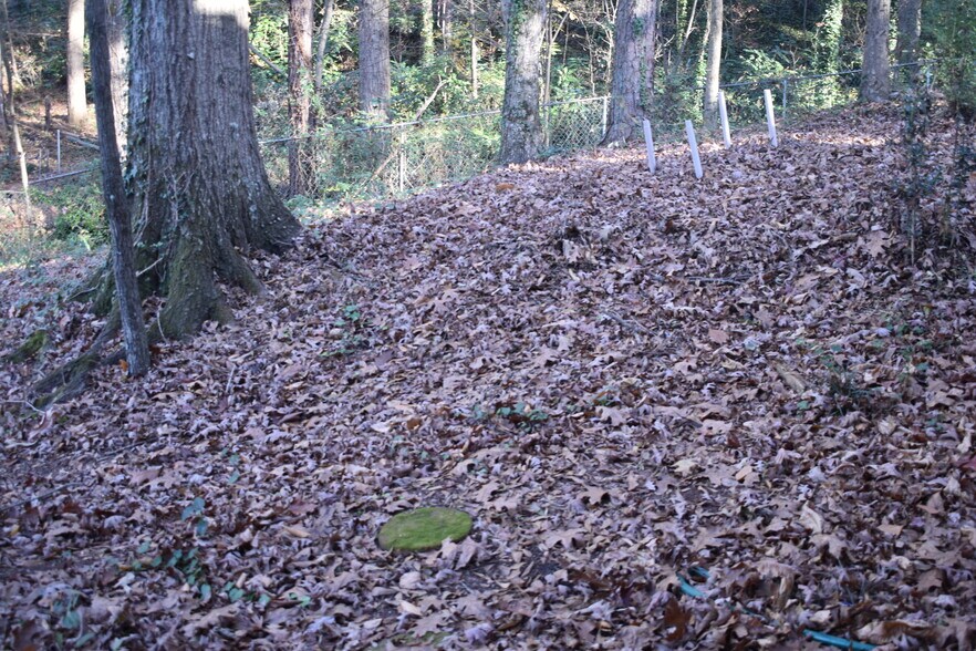 More Photos Of 441 Weaver Rd, Moultrie Land For Sale