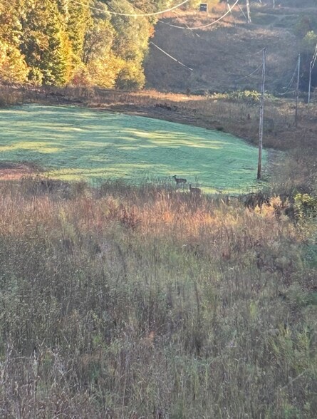 More Photos Of 1501 Foster Mill Circle cir, Pauline Land For Sale