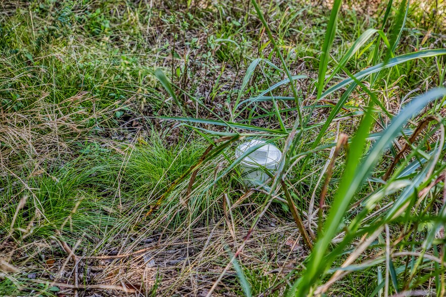 More Photos Of 3208 W State Highway 21, Bryan Land For Sale