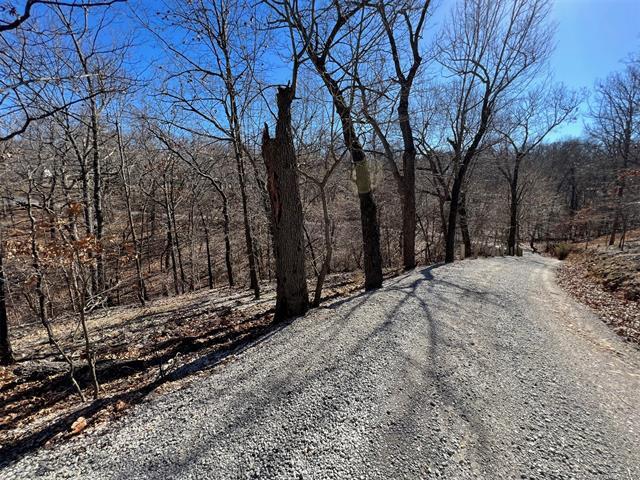 More Photos Of 450630 S Old Mill Road, Afton Trailer Camper Park For Sale