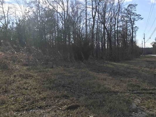 More Photos Of 12970 Highway 25, Calera Land For Sale