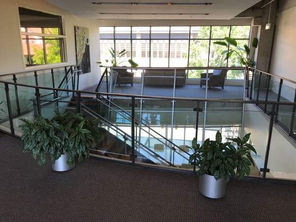 More Photos Of 1101 5th Ave, San Rafael Office For Lease